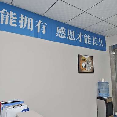 鱼泡网