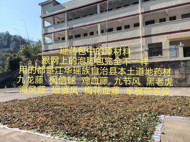 鱼泡网