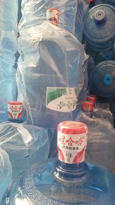 魚泡網(wǎng)