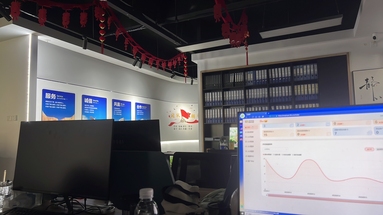 鱼泡网