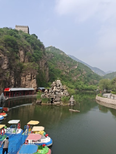 鱼泡网