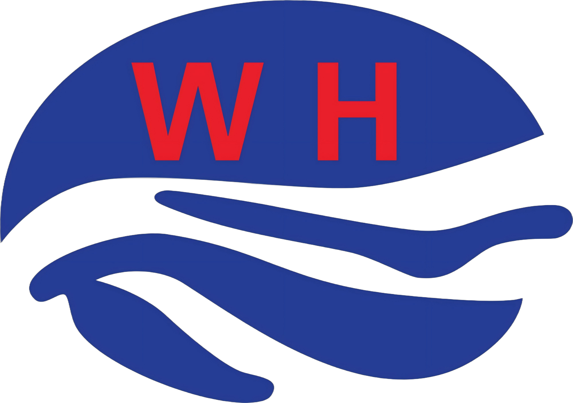 魚泡網(wǎng)
