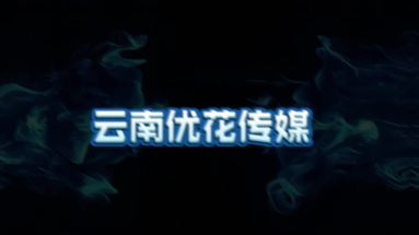 魚(yú)泡網(wǎng)