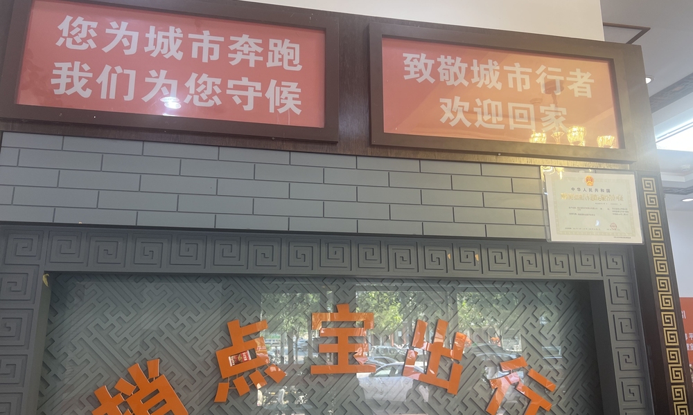 鱼泡网