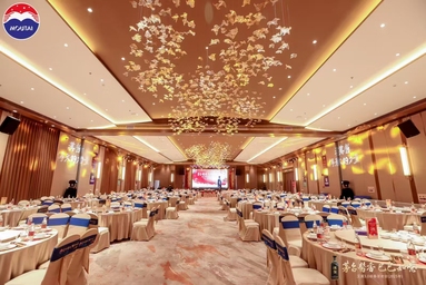 魚泡網(wǎng)