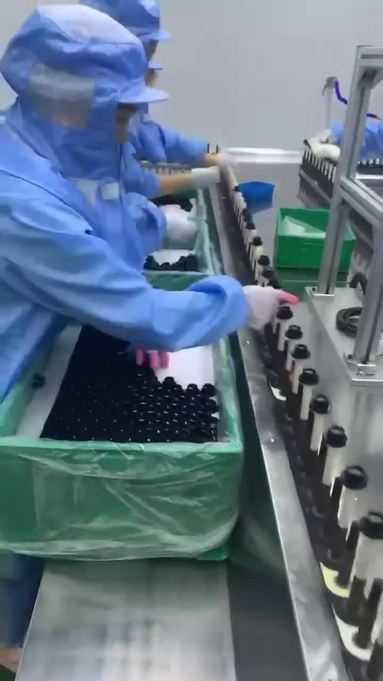 魚泡網(wǎng)