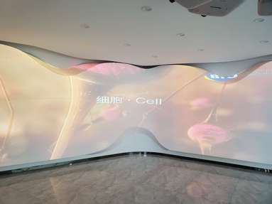 鱼泡网