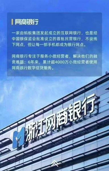鱼泡网