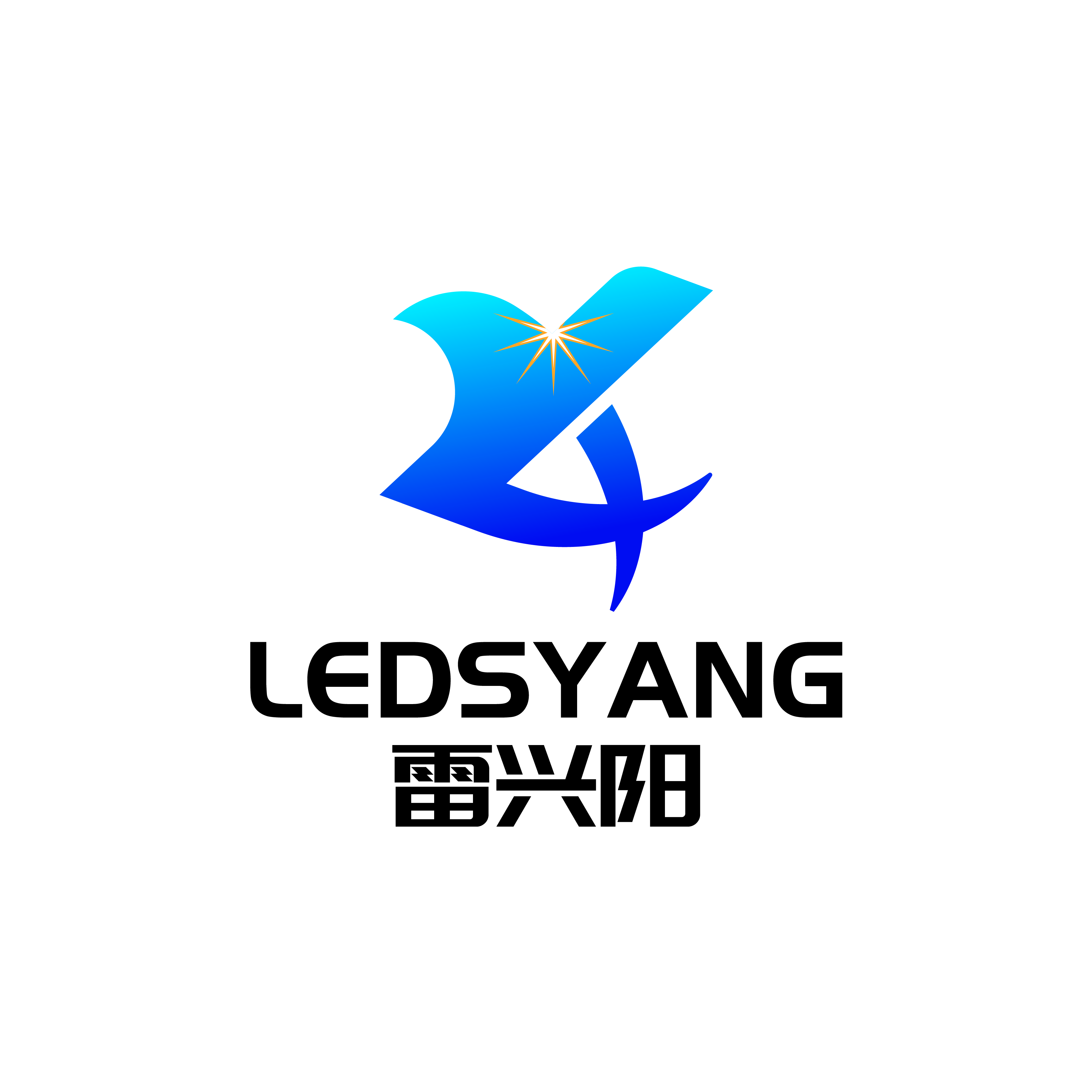 魚泡網
