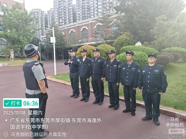 鱼泡网
