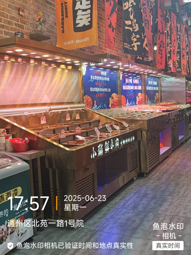 魚泡網
