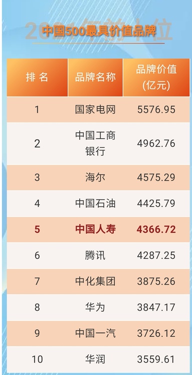魚泡網