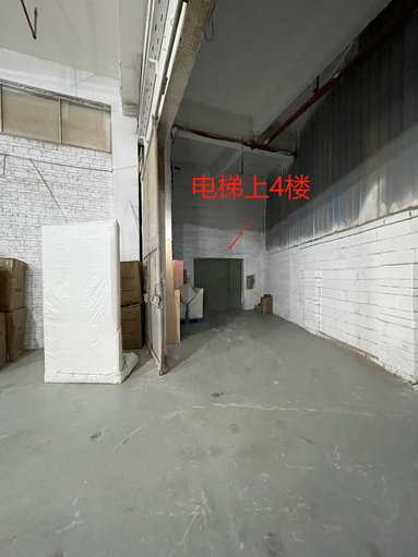 魚泡網(wǎng)