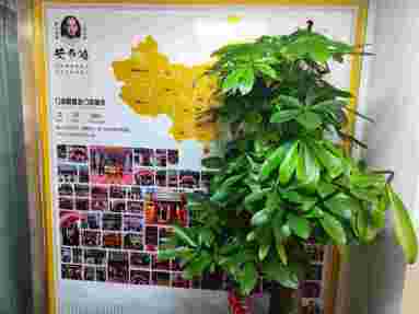 魚泡網(wǎng)
