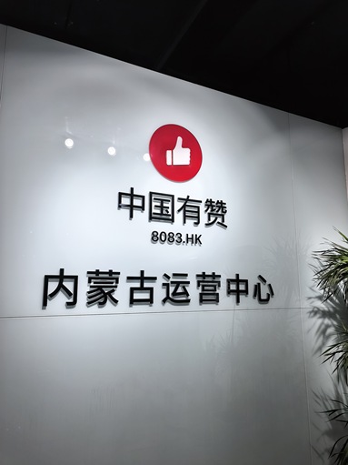鱼泡网