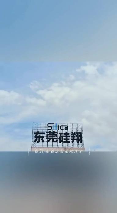 魚泡網(wǎng)