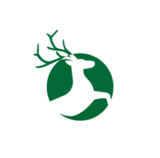魚(yú)泡網(wǎng)
