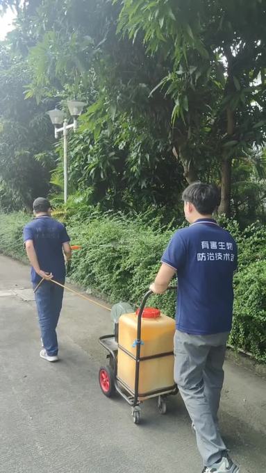 施工