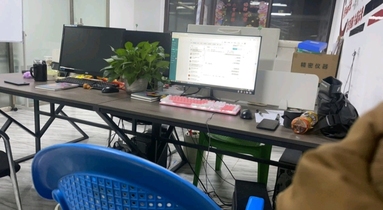 鱼泡网