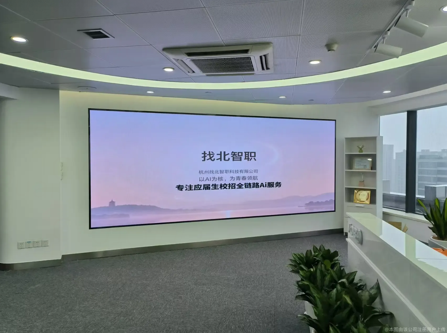 鱼泡网