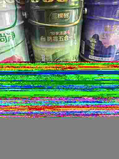 鱼泡网