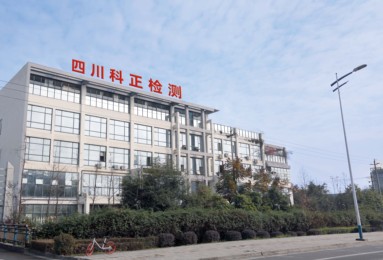 魚泡網(wǎng)
