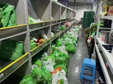 魚泡網