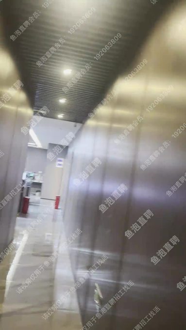 魚泡網(wǎng)