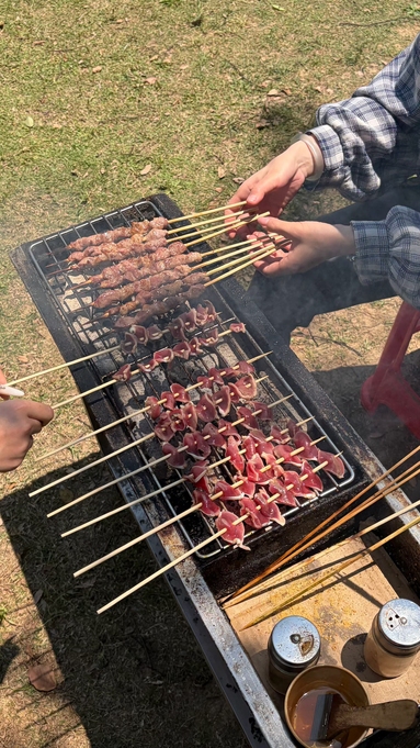 鱼泡网