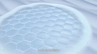 鱼泡网