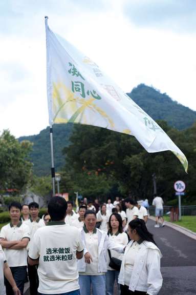 鱼泡网