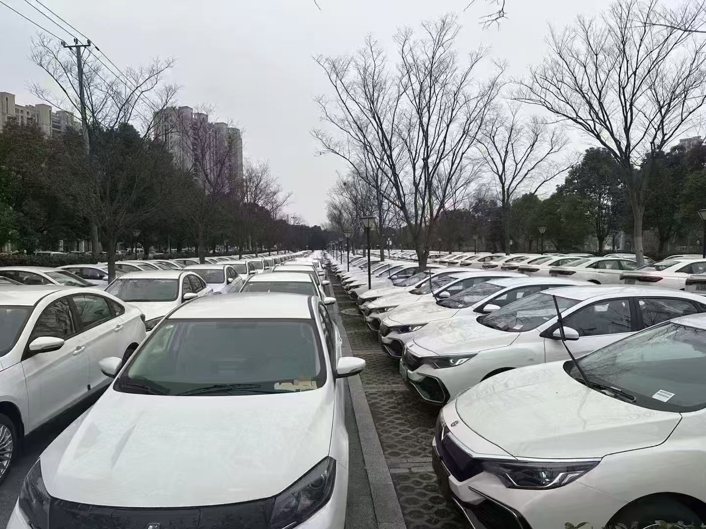 鱼泡网