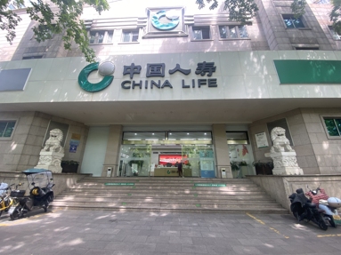 鱼泡网
