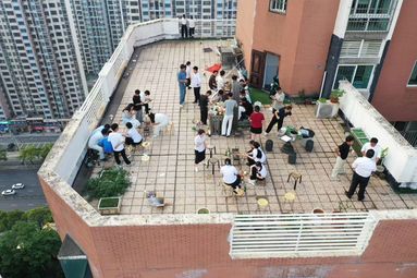 鱼泡网