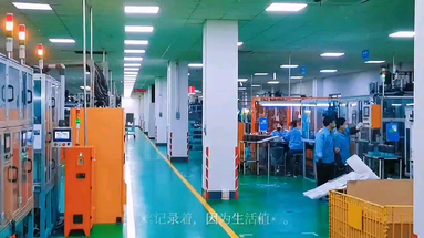 魚泡網