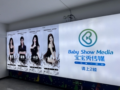 鱼泡网