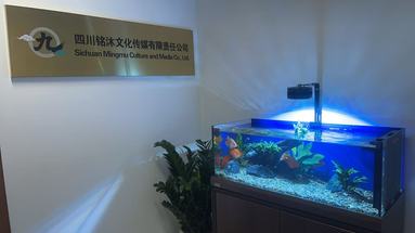 鱼泡网