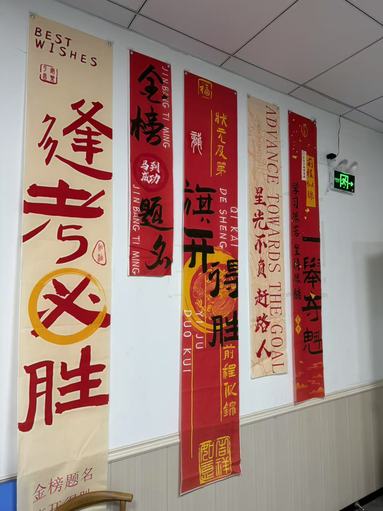 鱼泡网