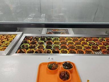 鱼泡网