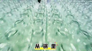 魚泡網(wǎng)