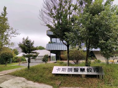 鱼泡网