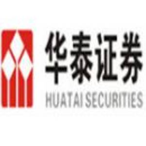 鱼泡网