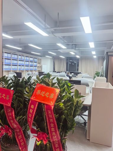 鱼泡网