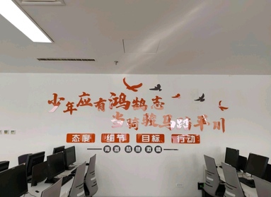 鱼泡网