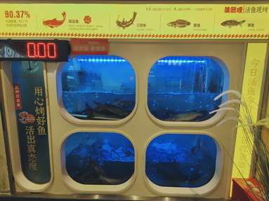 魚泡網(wǎng)