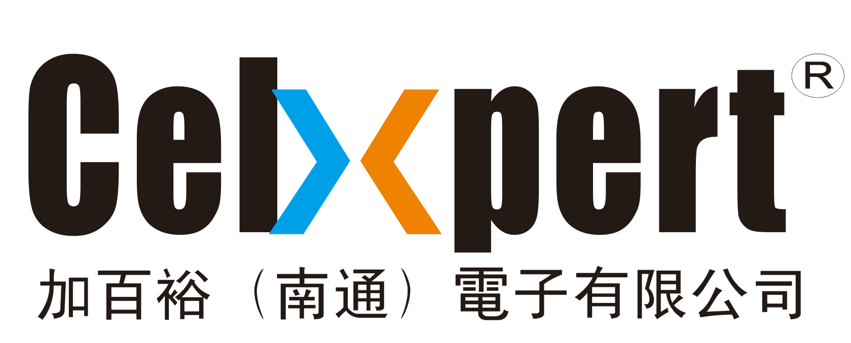 魚泡網