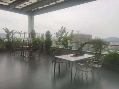 鱼泡网