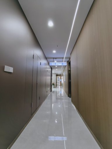鱼泡网