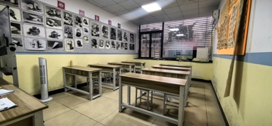 鱼泡网