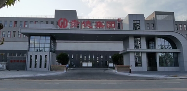 鱼泡网